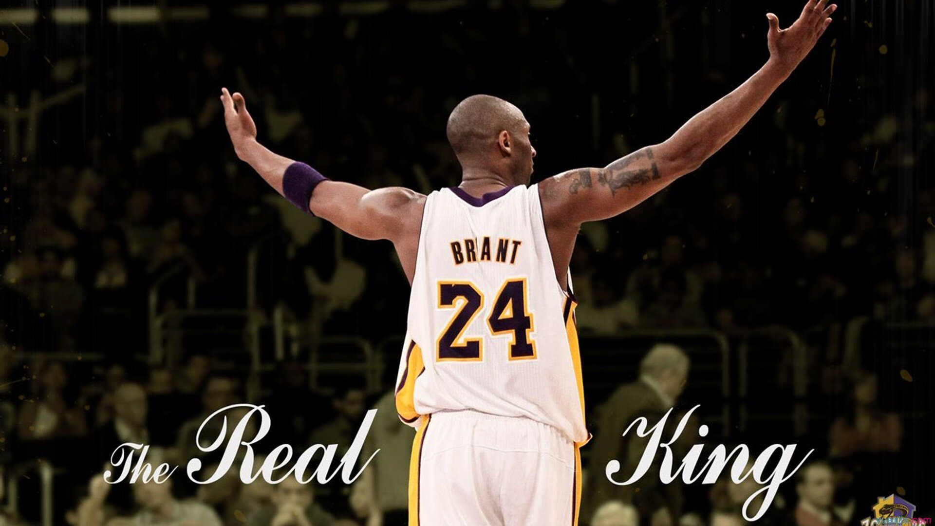 爱游戏网页版-《明星助阵：知名主播加入电竞赛事直播》，电竞 明星赛